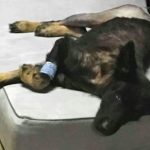 espera-de-ajuda-1-760x453