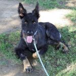 espera-de-ajuda-10-760x915