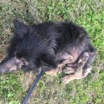 espera-de-ajuda-2-760x570