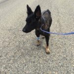 espera-de-ajuda-3-760x570