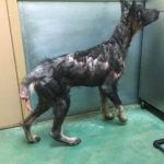 espera-de-ajuda-4-760x570