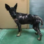 espera-de-ajuda-7-760x688