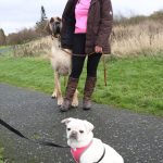 Presley o Scooby-Doo da vida real3