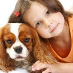 cachorros podem sentir se uma pessoa é má ou não5