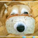 13 fotos positivas carregadas de felicidade e uma garantida onda de boas energias3