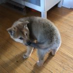 13 fotos positivas carregadas de felicidade e uma garantida onda de boas energias4