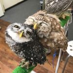 13 fotos positivas carregadas de felicidade e uma garantida onda de boas energias5