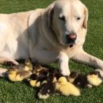 13 fotos positivas carregadas de felicidade e uma garantida onda de boas energias6