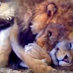 13 fotos positivas carregadas de felicidade e uma garantida onda de boas energias8