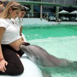 20 fotos emocionantes de animais esperando a chegada de seus irmãozinhos ao mundo19