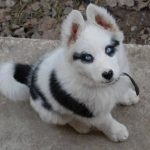 21 animais em que a natureza foi generosa na sua criação e parecem incríveis demais para serem reais5