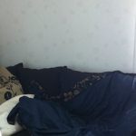 23 fotos que provam que os relacionamentos entre cachorros e gatos são os mais difíceis3