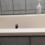 25 fotos de animais que irão ajudar você a chegar ao final do dia22