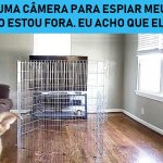 30 fotos dessas maravilhosas criaturas totalmente hilárias a quem chamamos de cachorros-capa