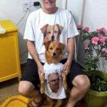 30 fotos dessas maravilhosas criaturas totalmente hilárias a quem chamamos de cachorros27