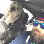 30 fotos dessas maravilhosas criaturas totalmente hilárias a quem chamamos de cachorros5