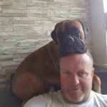 30 fotos dessas maravilhosas criaturas totalmente hilárias a quem chamamos de cachorros8