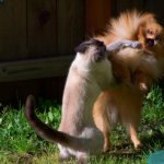 3565672226_f0ec978158_b