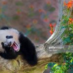 53018001_2362863427092920_664970888583