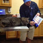 Animais traídos que perceberam tarde demais que estavam sendo levados ao veterinário6