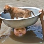 fotos tocantes capazes de derreter o mais insensível dos corações12