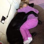 fotos tocantes capazes de derreter o mais insensível dos corações14