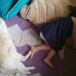 fotos tocantes capazes de derreter o mais insensível dos corações16