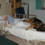 fotos tocantes capazes de derreter o mais insensível dos corações8