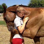 fotos tocantes capazes de derreter o mais insensível dos corações9