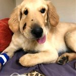 imagens comoventes que irão fazer você transbordar de emoção1