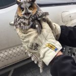 imagens comoventes que irão fazer você transbordar de emoção3