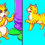 11 Comportamentos estranhos do seu gato e os motivos por trás de cada um deles-capa