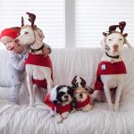 13 animais que não se esqueceram de agradecer a seus resgatadores4