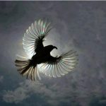 1343310-image-crop-640x602-1527022396-728-71ad79362a-1528288881