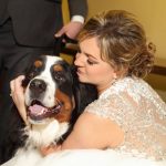 18 fotos emocionantes que mostram que nossos animais estão sempre lá para nos apoiar10