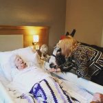 18 fotos emocionantes que mostram que nossos animais estão sempre lá para nos apoiar3