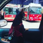 18 fotos emocionantes que mostram que nossos animais estão sempre lá para nos apoiar7
