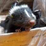 18495210-5OrJPp9-1514018702-650-241b8a023a-1515130212