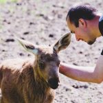 18495260-15137648_1033085780151839_16965135423642082_o-1513851987-650-3192e55f8b-1515130212