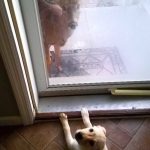 18495610-open5-1513843697-650-5fbe2e8052-1515130212