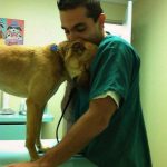 18495760-img-20160126141644-474-1513843523-650-76d8dce38b-1515130212