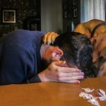 8737610-14-photos-proving-that-pets-are-always-there-for-us-when-we-need-them-the-most-13-3-0915705001545114807-728-e934506715-1545829759