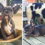 8994910-49063260-f273408836c6af567b20b1e846c23d262f2ce922-1546768661-1200-1-1546768660-728-5fe3d878fb-1547191978