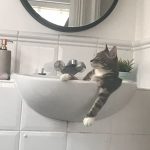 9138910-image-crop-537x463-1547655589-728-4f9c93e74a-1547734905