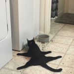 9265010-preview9-0319222001547553197-728-4aada469b1-1548231676