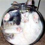 9265310-preview26-0822581001547553348-728-92a2c27866-1548231676