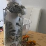 9265760-88mzvagizii11-1547578708-728-10bd5496cf-1548231676