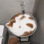 9265910-Screen-Shot-2018-10-12-at-30158-PM-1024x762-1547578811-728-387cdbabb6-1548231676