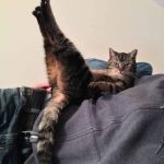 9265960-20171306152807-1547579288-728-daa0a9e6ee-1548231676