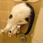 9266810-image-crop-650x696-1548069834-728-6963ad777a-1548231676